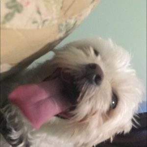 Meet your Posher, Wendy